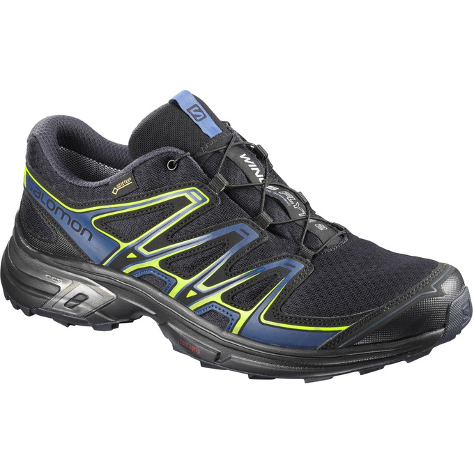 Zapatillas Trail Running Salomon Hombre Negras - Salomon Argentina WINGS FLYTE 2 GTX® ,270831-SVZ